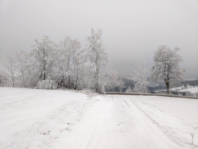 Adventní scenérie na kopci