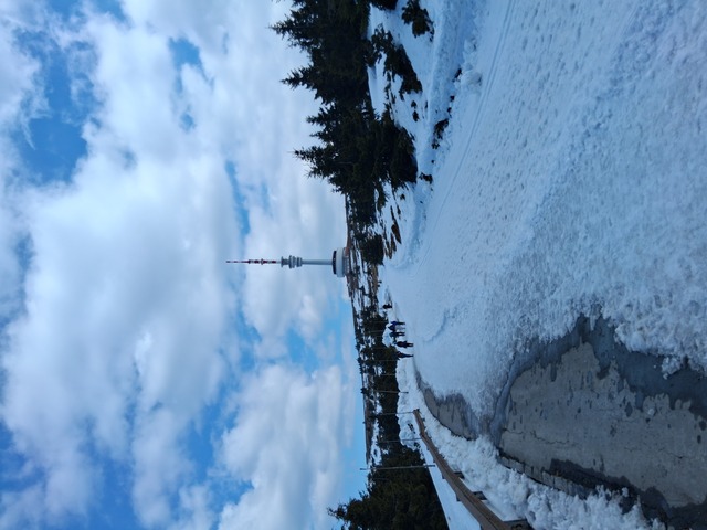 Pohled při zpatečni cestě